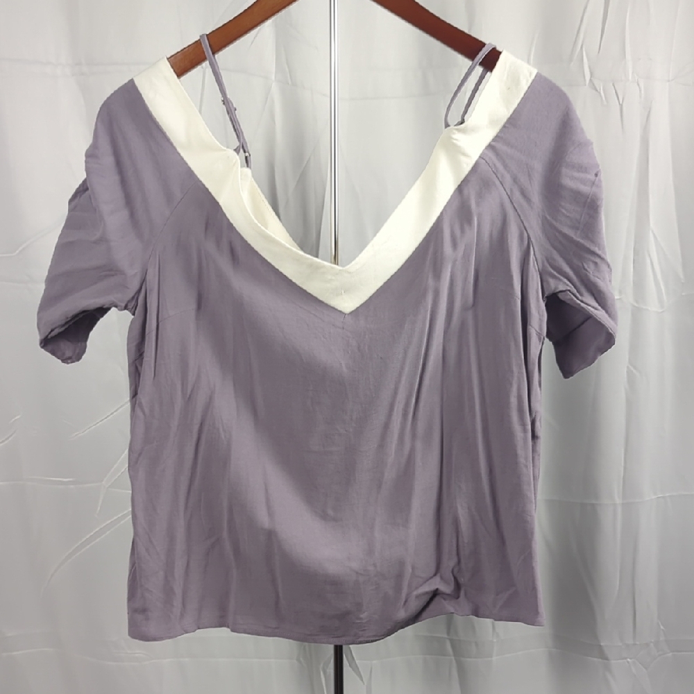 Blush Lavender and Cream V-Neck Blouse